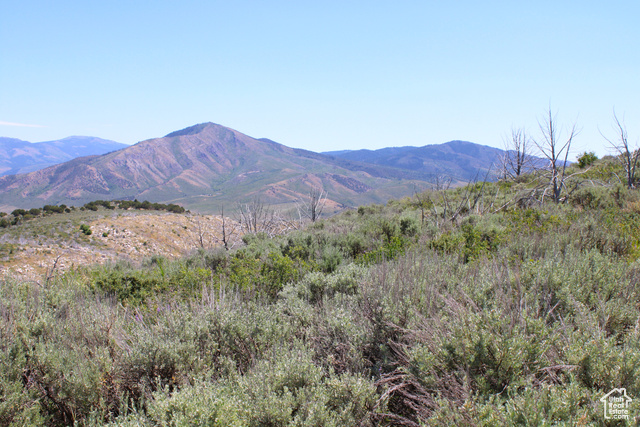 Property view of mountains