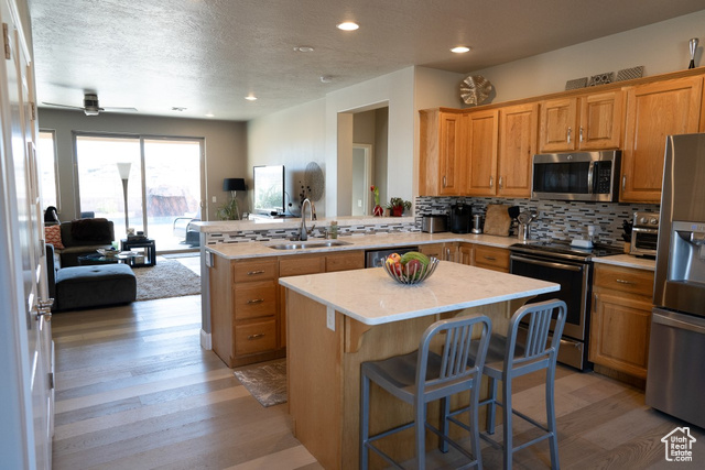 Photo 9 for MLS #2054201 at 1226 N Overland Cir