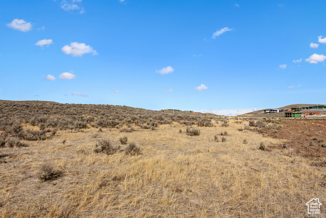 Photo 7 for MLS #2054408 at 5801 Double Deer Dr #3