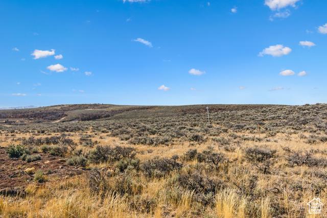 Photo 6 for MLS #2054408 at 5801 Double Deer Dr #3