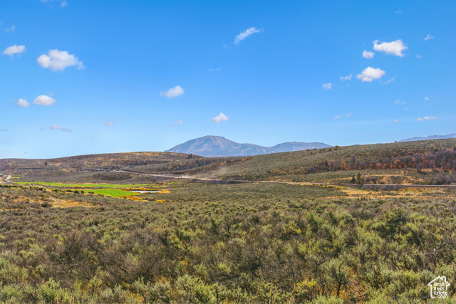 Photo 3 for MLS #2054408 at 5801 Double Deer Dr #3