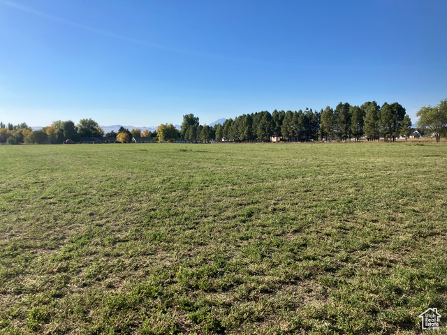 View of yard with a rural view