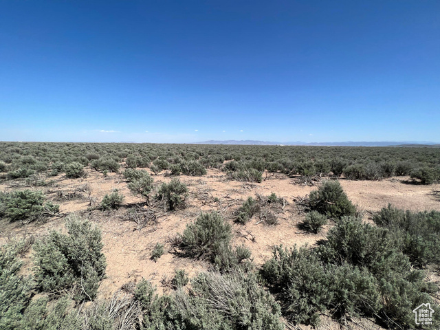 View of local wilderness