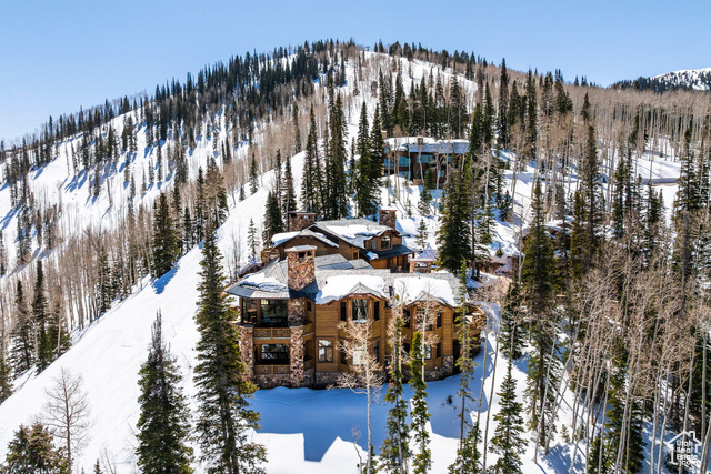 Photo 65 for MLS #2054909 at 110 White Pine Canyon Rd
