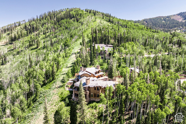 Photo 69 for MLS #2054909 at 110 White Pine Canyon Rd