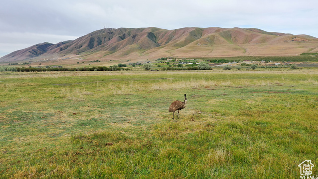 View of mountain feature featuring a rural view