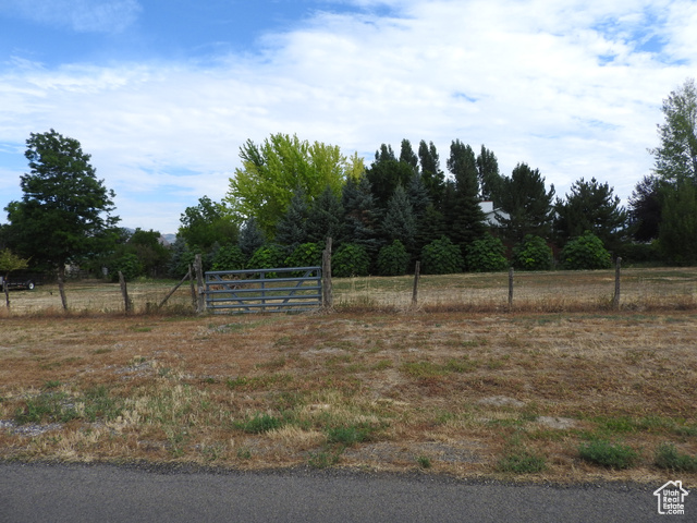 View of yard featuring a rural view