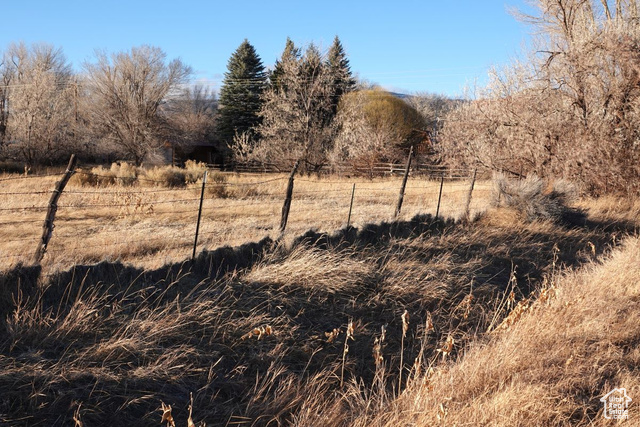 View of local wilderness featuring a rural view