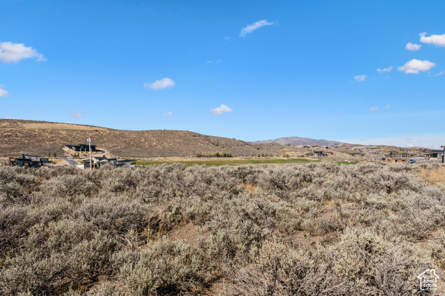 Photo 7 for MLS #2056361 at 5867 Double Deer Dr #1