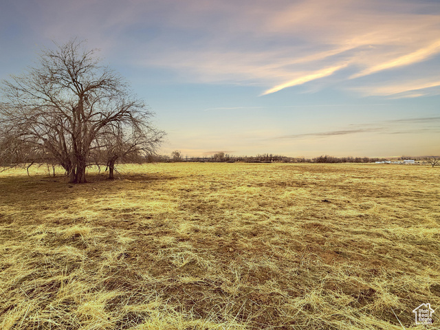 Yard at dusk with a rural view