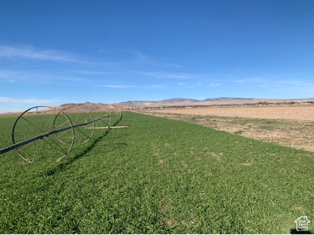 View of yard with a mountain view and a rural view