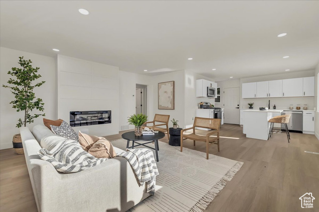 Living room featuring light wood-type flooring and a fireplace