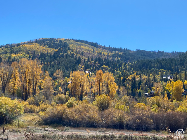 Photo 40 for MLS #2058039 at 51 Aspen Loop #51&52