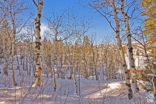 Photo 31 for MLS #2058039 at 51 Aspen Loop #51&52