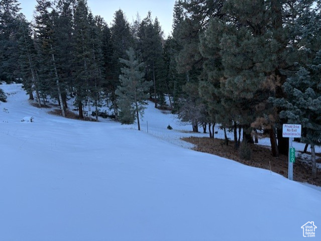 View of yard covered in snow