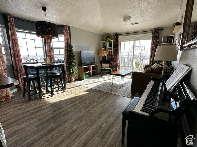 Living room with dark hardwood / wood-style flooring and a textured ceiling