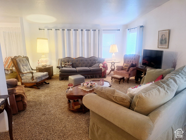 Living room featuring carpet floors