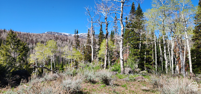 View of mountain feature