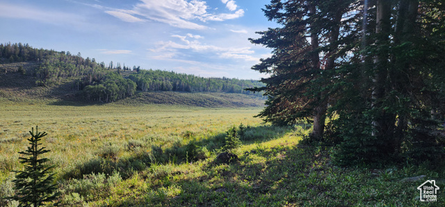 View of landscape