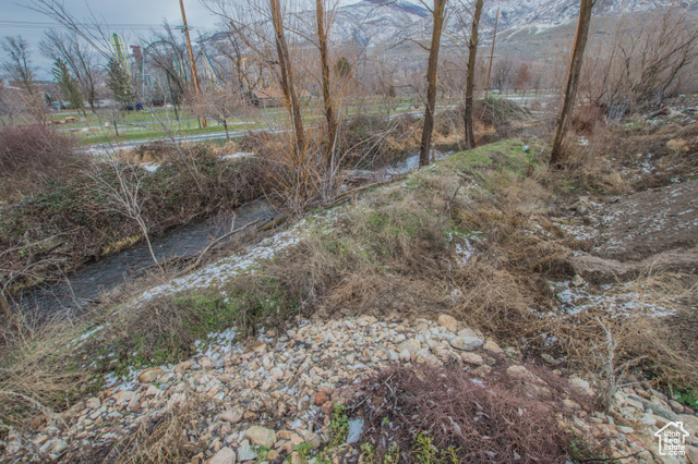 View of local wilderness