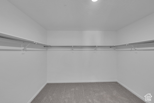 Photo 33 for MLS #2060153 at 6448 N Pedigree Ln #1203