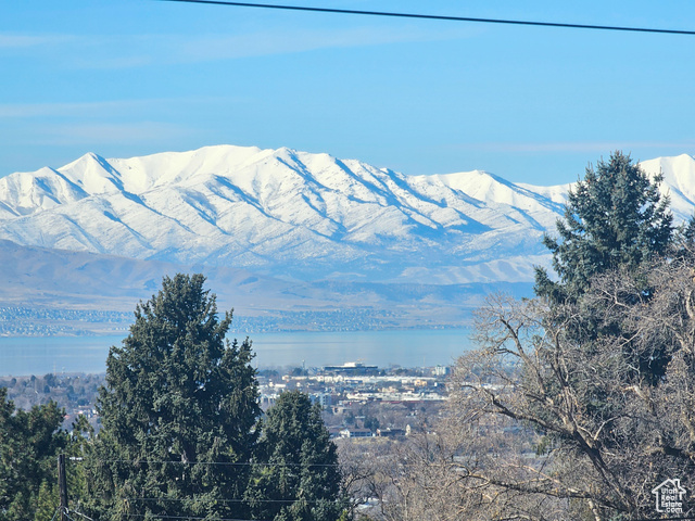 Nestled in the coveted Oak Hills neighborhood with amazing views, this stunning French chteau offers unparalleled elegance and breathtaking mountain and valley views. Located on a serene, low-traffic street, the home is just steps from the Bonneville Shoreline and Rock Canyon trailheads, making it a dream for outdoor enthusiasts. Inside, soaring ceilings create a grand and airy feel, while the walk-out basement and ample storage provide convenience and functionality. The master suite boasts brand-new carpet and paint, a luxurious jetted tub, and a soft water system for ultimate relaxation. Outdoor living is a highlight of this property. The fully fenced backyard features mature landscaping that ensures privacy, while a spacious pergola, two balconies, and a massive patio make entertaining, dining, or simply unwinding a pleasure. A built-in shed offers additional storage or workspace. Whether you're enjoying the peaceful setting, hosting gatherings, or exploring nearby trails, this home is the perfect blend of style, comfort, and location. Schedule your private showing today and experience the beauty and tranquility of this one-of-a-kind property.