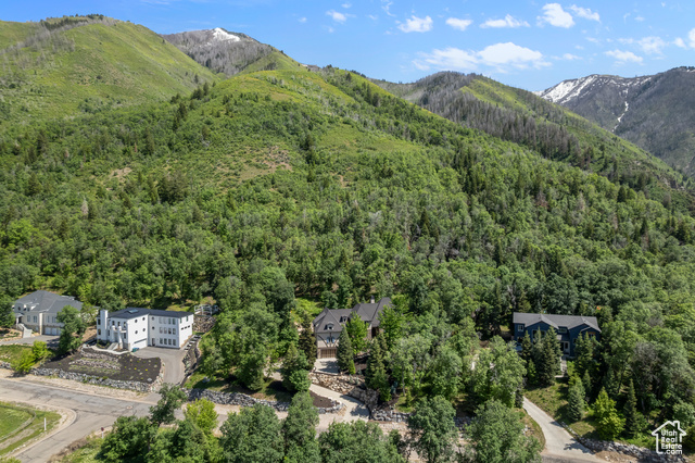 Photo 47 for MLS #2060689 at 1190 S Eaglenest Dr