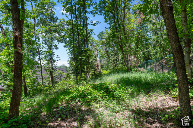 Photo 74 for MLS #2060689 at 1190 S Eaglenest Dr