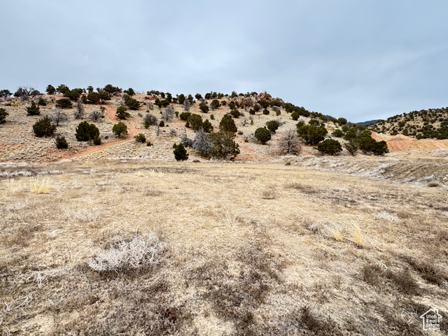 677 E FIDDLERS COVE DR, Cedar City UT 84721