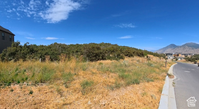 3778 S MAPLETON ESTATES DR, Mapleton UT 84664