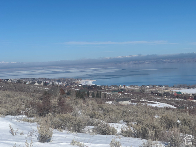 Snowy aerial view with a water view