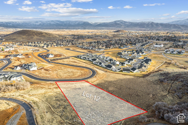 Aerial view with a mountain view