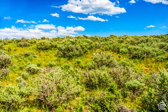 Photo 12 for MLS #2063915 at 5823 Golf Club