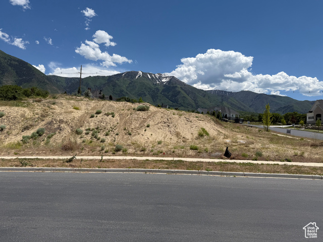 1343 S 370 E, Salem UT 84653