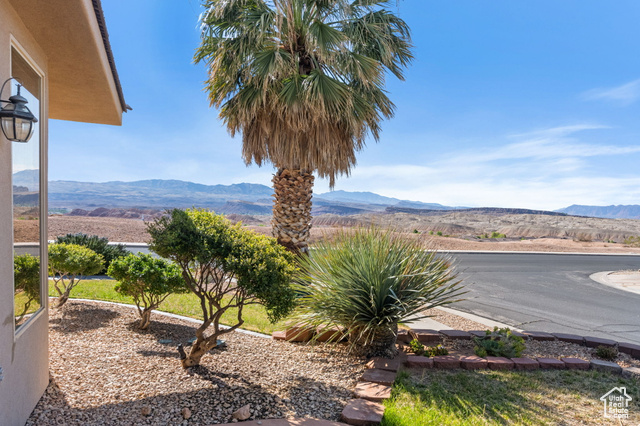 Photo 4 for MLS #2064657 at 3523 S Desert Hills Dr