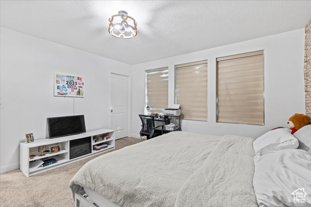 Photo 16 for MLS #2065335 at 11587 S Prosperity Rd