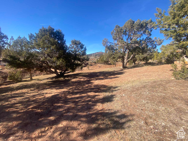 Photo 21 for MLS #2065370 at 45450 W Cedar Rock Rd