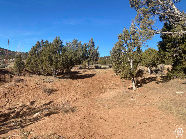 Photo 27 for MLS #2065370 at 45450 W Cedar Rock Rd