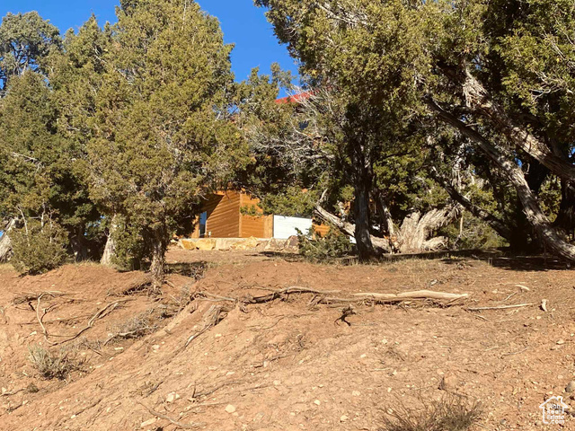 Photo 111 for MLS #2065370 at 45450 W Cedar Rock Rd