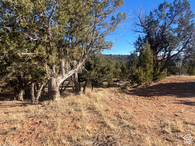 Photo 106 for MLS #2065370 at 45450 W Cedar Rock Rd