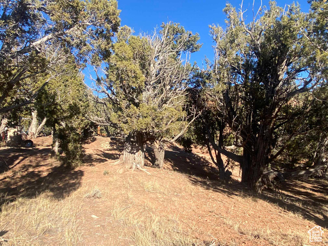 Photo 105 for MLS #2065370 at 45450 W Cedar Rock Rd