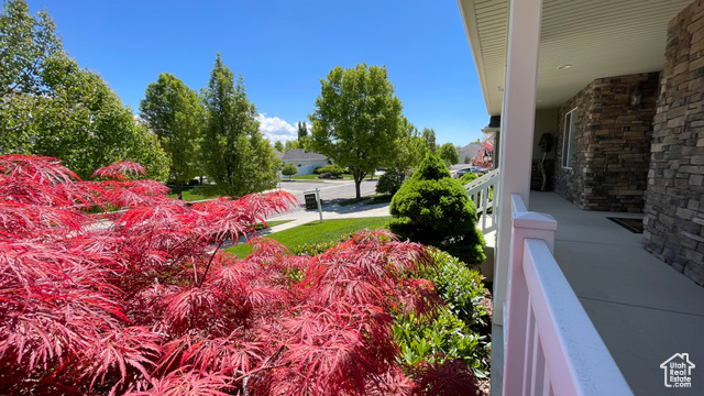 Photo 47 for MLS #2065874 at 6438 S Mckinley Ln