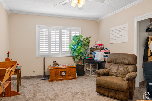 Photo 17 for MLS #2066759 at 1502 S 325 West