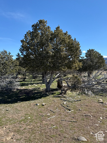 , Spring City UT 84662