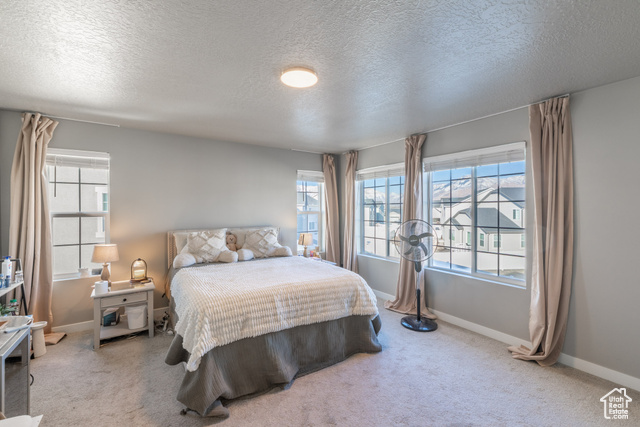 Photo 22 for MLS #2067541 at 1656 S Prevedel Dr