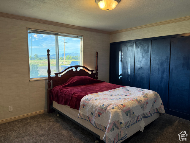 Photo 10 for MLS #2067594 at 18750 N 8180 East