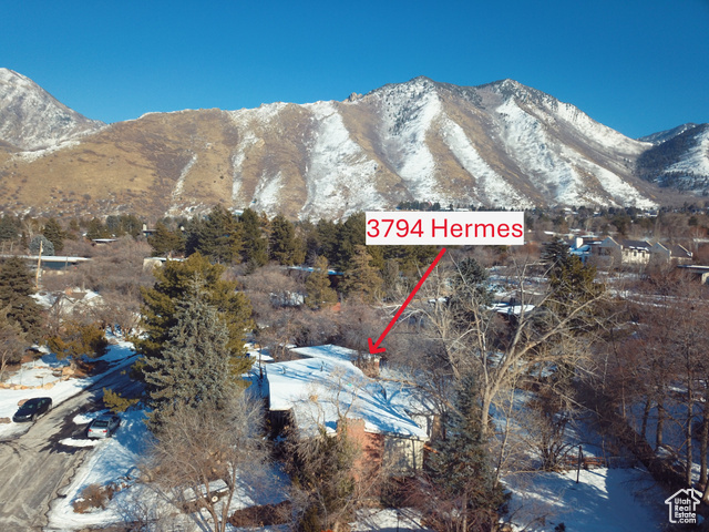 Photo 6 for MLS #2068913 at 3794 Hermes Dr