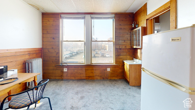 Photo 23 for MLS #2068921 at 222 W Broadway