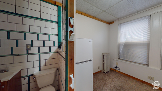 Photo 43 for MLS #2068921 at 222 W Broadway