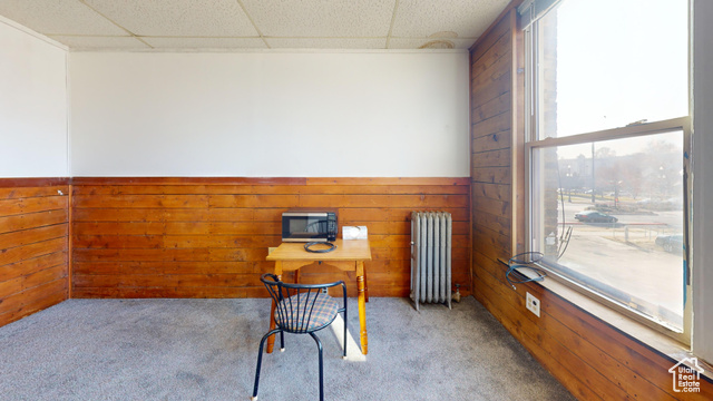 Photo 24 for MLS #2068921 at 222 W Broadway